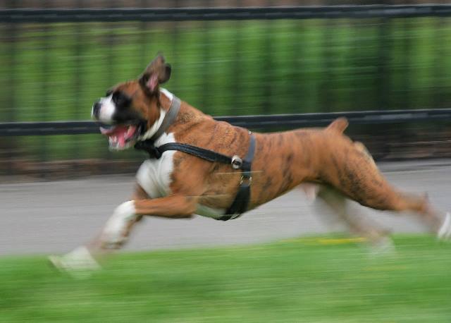 Speeding
