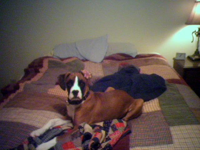 Spencer