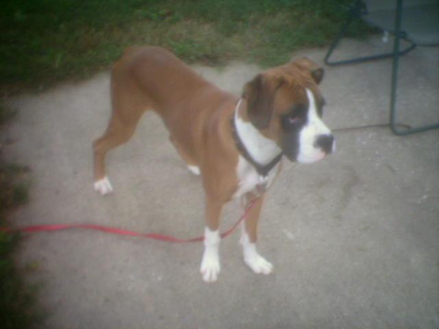 spencer1