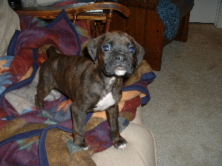 Spencer_on_couch_-_small