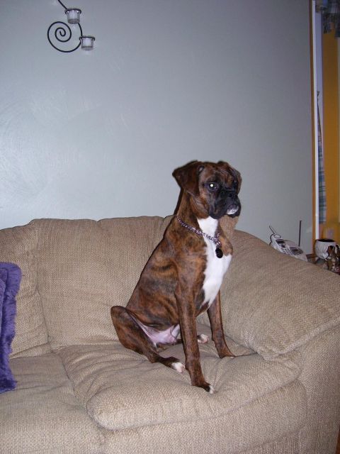 Spike 8 months old