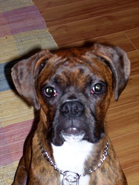 Spike Nov.2006