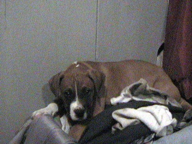 SPIKE