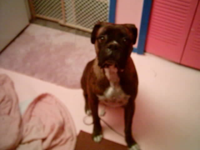 Spike