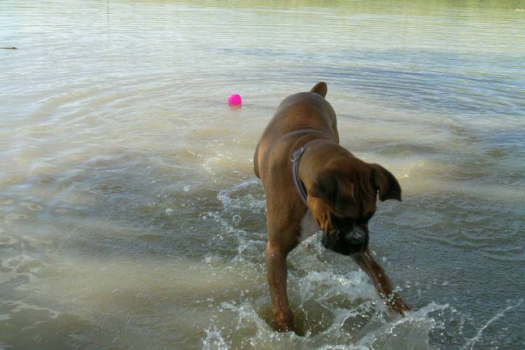 Splash, Splash!