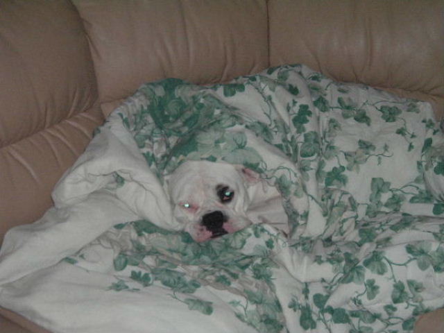 spoiled or what