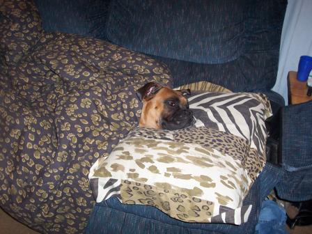 Spoiled Rotten