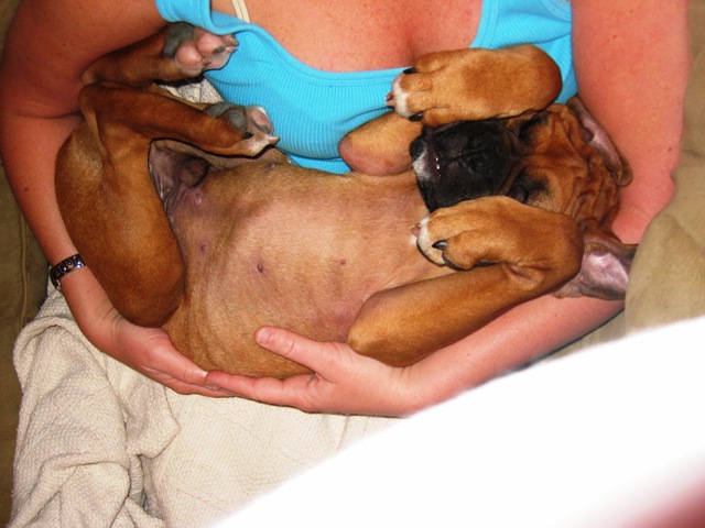 Spoiled Rotten