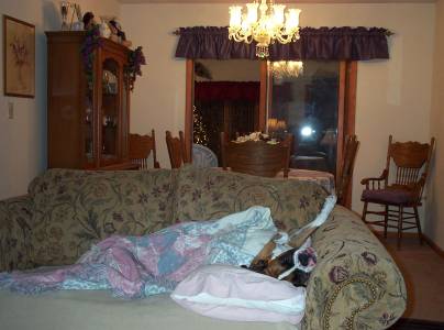 Spoiled rotten!