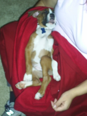 Spoiled