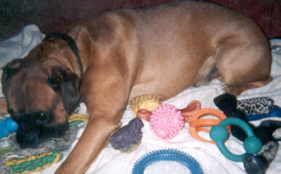 Spoiled