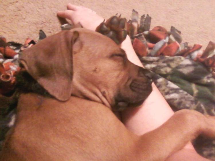 Spoiled