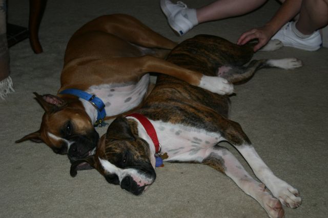 Spooning with Sis