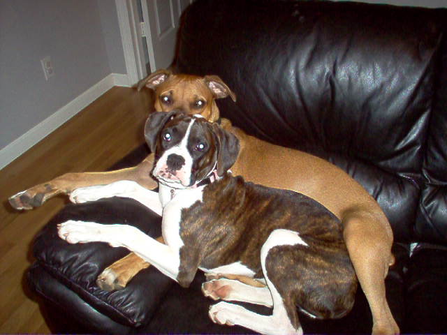 Spooning