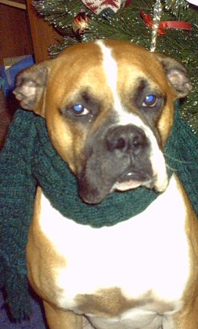 Sporting a lovely shade of green