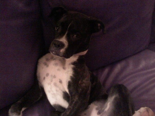 spots!