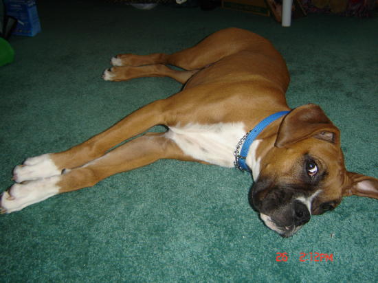 Sprawled out!