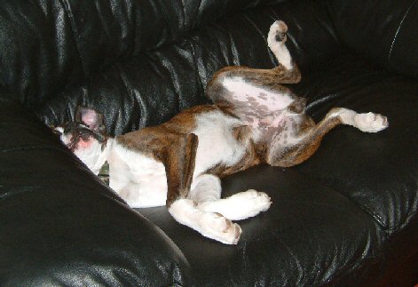 sprawling