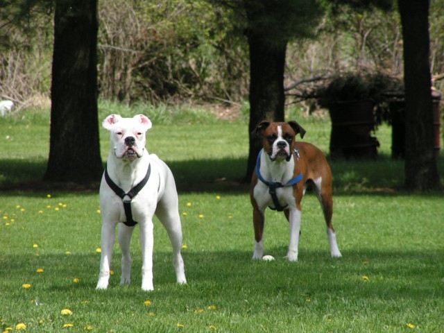 Spring is here!!!