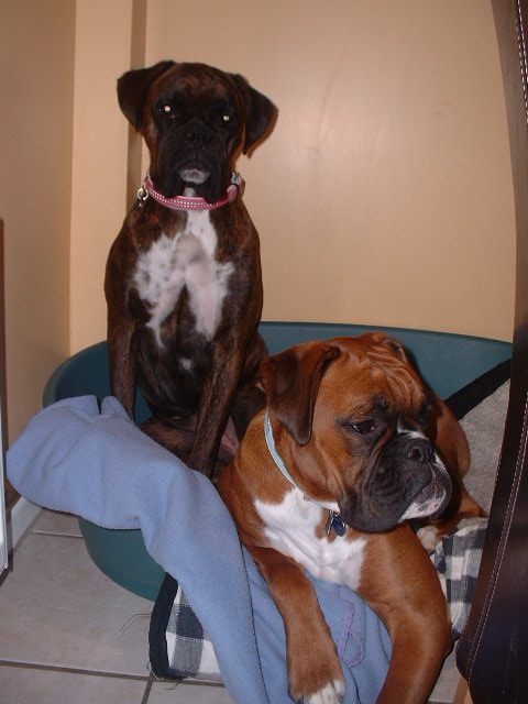 Squashed