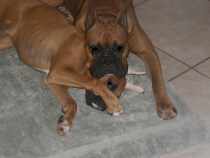 squooshed
