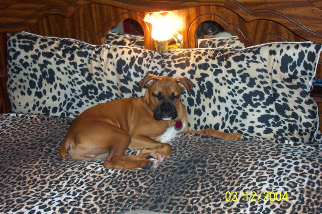 sssssoooo_sleepy