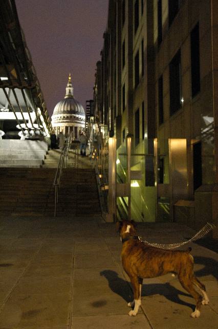 St Paul's Cathedral