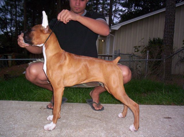 Stacked Pic...Shes growing so fast!