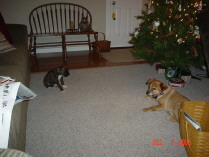Stand off