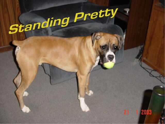 standing pretty