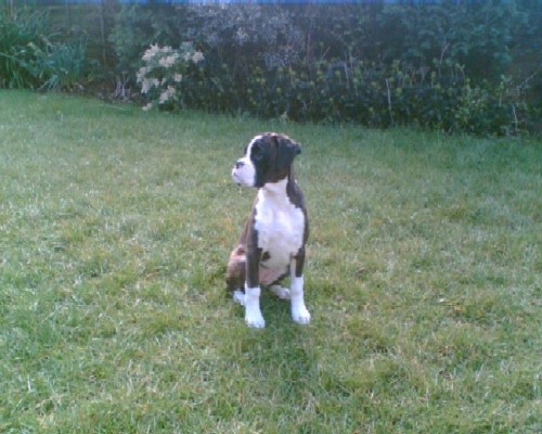 Standing proud.