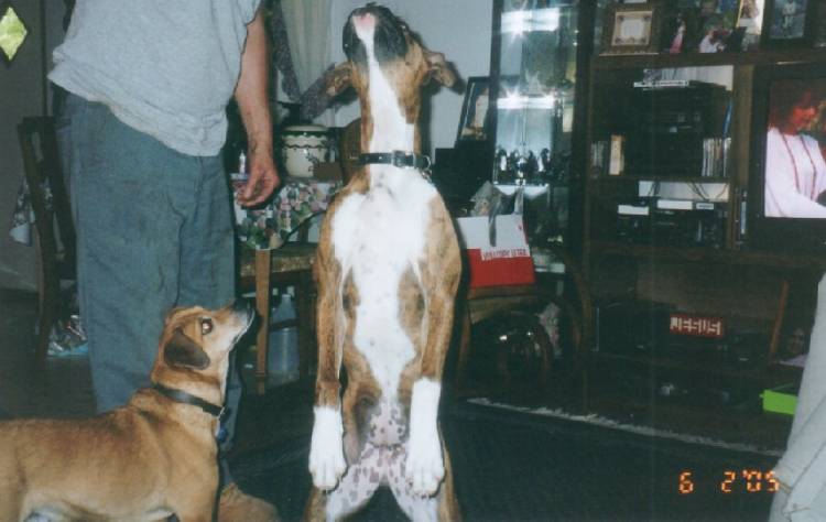 Standing Tall