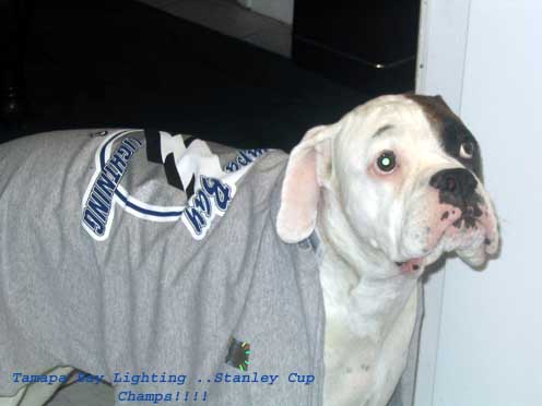 Stanley Cup Boxer!!!!