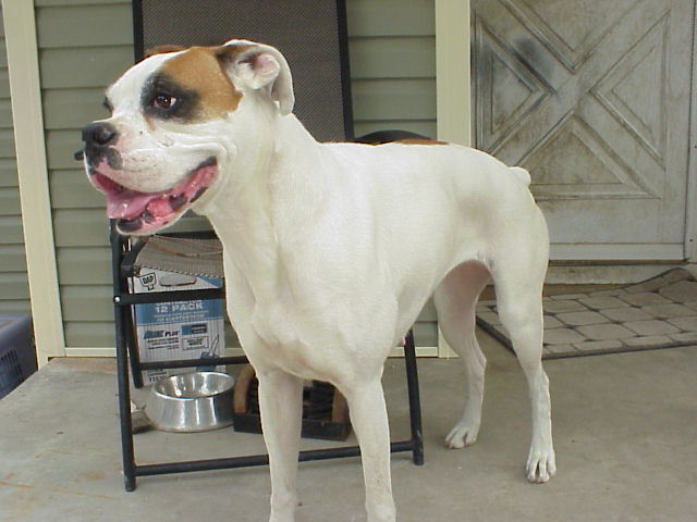 Star, 3 years