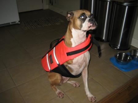 Star in her new life jacket