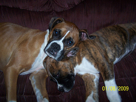 Star loves her little brother Tyson