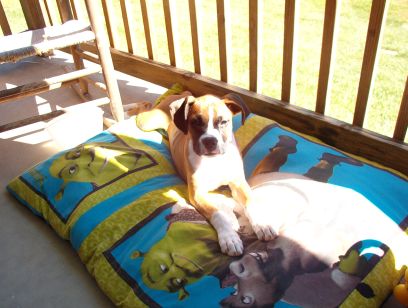 Star relaxing