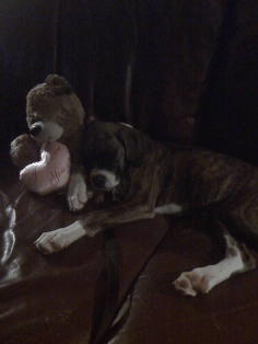 Star sleeping with her teddy