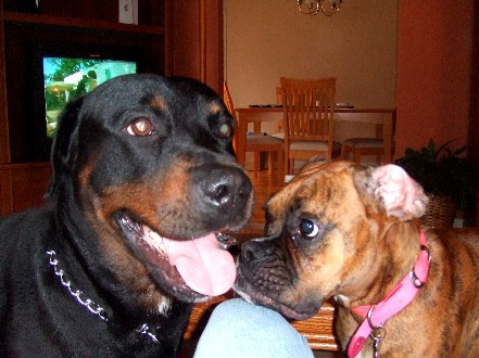 Staring Contest