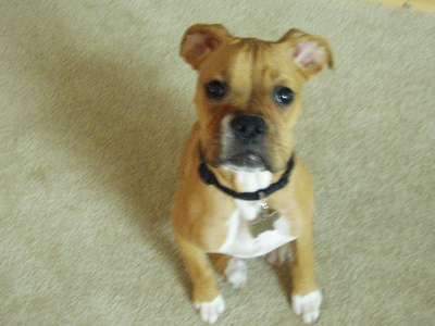 staring_at_the_camera