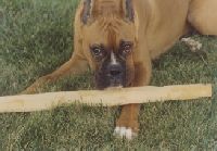 Stay away from the stick!