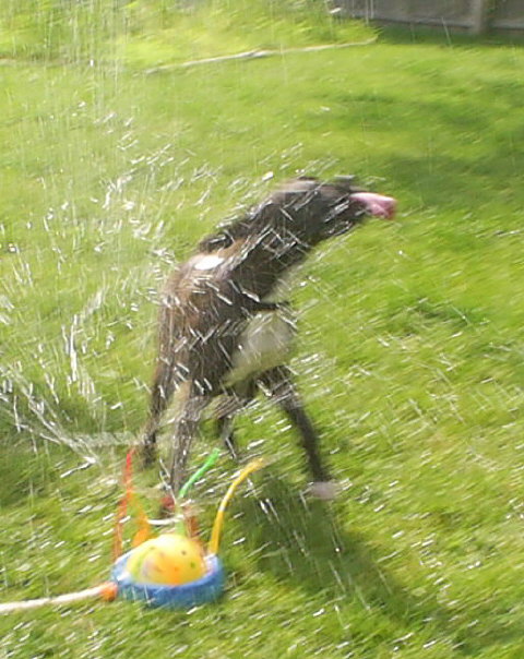 STAYING COOL