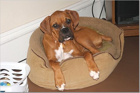 Stella 14 wks