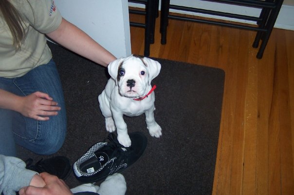 Stella first night home
