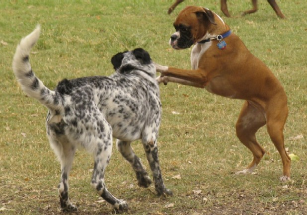 Stick And Move