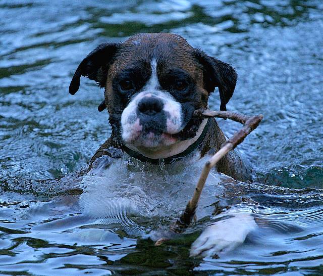 Stick obsession continues