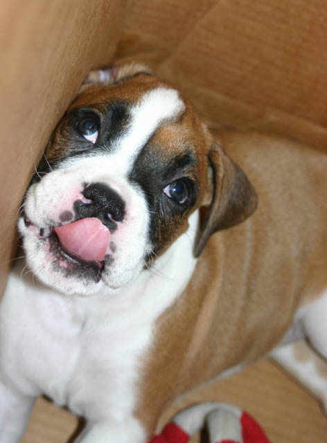 sticking her tongue out at the camera