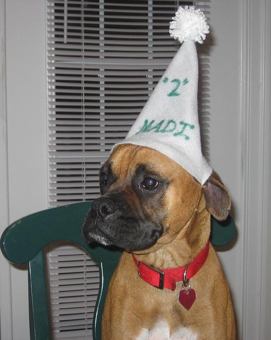 Still a puppy at 2?