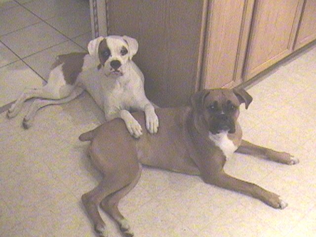 Still Chillin