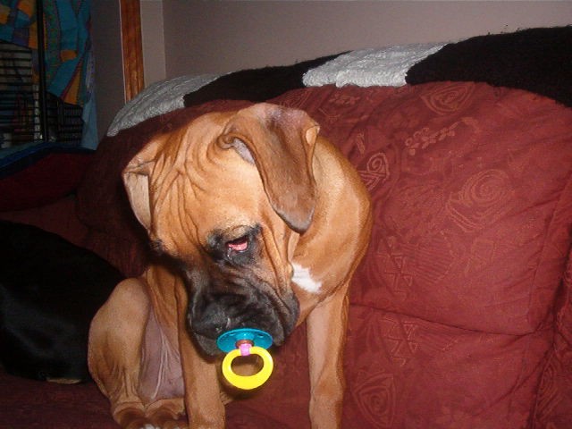 still loves his soother even at 5 months